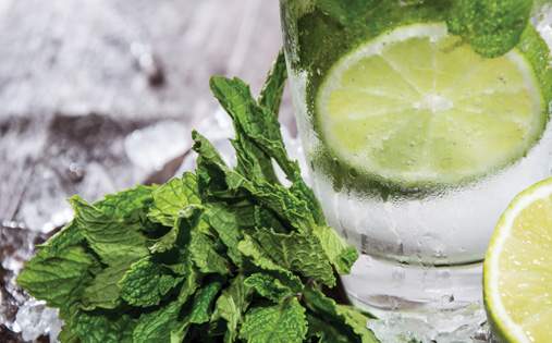 frozen-mojito_cover.jpg - Frozen Mojito