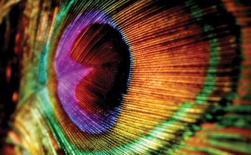 Impressive_cover.jpg - Impressive