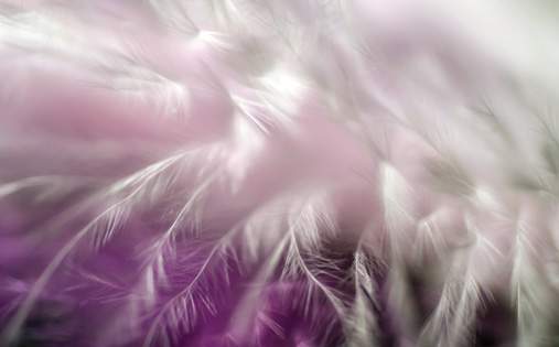 charm_cover.jpg - Charm