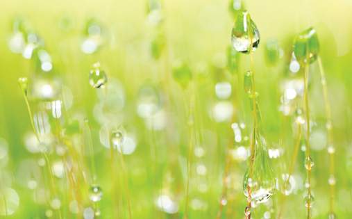 harmony_cover.jpg - Harmony